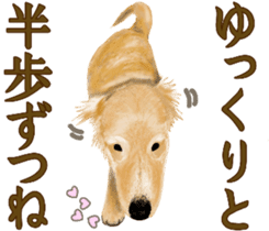 Friendly dog!Golden Retriever sticker #14329408