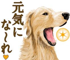 Friendly dog!Golden Retriever sticker #14329410