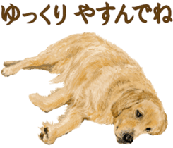 Friendly dog!Golden Retriever sticker #14329413