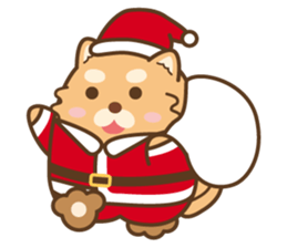 Marukichi that 3 - Winter Edition - sticker #14329654