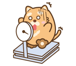 Marukichi that 3 - Winter Edition - sticker #14329669