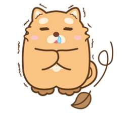 Marukichi that 3 - Winter Edition - sticker #14329672