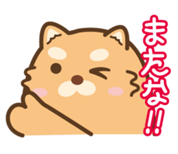 Marukichi that 3 - Winter Edition - sticker #14329692