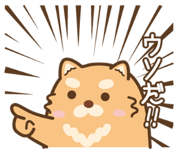 Marukichi that 3 - Winter Edition - sticker #14329693