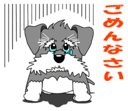 A lively Miniature Schnauzer sticker #14330662