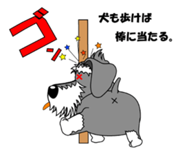 A lively Miniature Schnauzer sticker #14330664