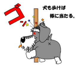 A lively Miniature Schnauzer sticker #14330664