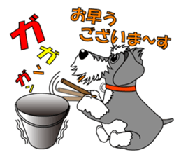 A lively Miniature Schnauzer sticker #14330665