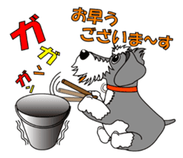 A lively Miniature Schnauzer sticker #14330665