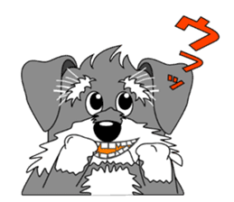 A lively Miniature Schnauzer sticker #14330667