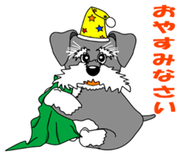 A lively Miniature Schnauzer sticker #14330670