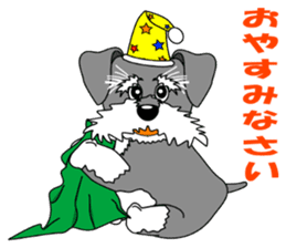 A lively Miniature Schnauzer sticker #14330670