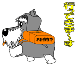 A lively Miniature Schnauzer sticker #14330671