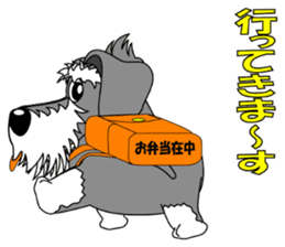 A lively Miniature Schnauzer sticker #14330671