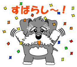 A lively Miniature Schnauzer sticker #14330672