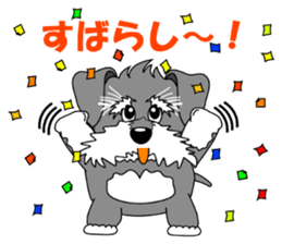 A lively Miniature Schnauzer sticker #14330672