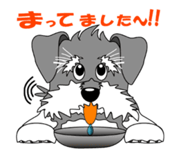 A lively Miniature Schnauzer sticker #14330674