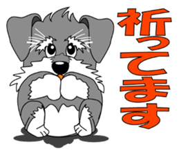 A lively Miniature Schnauzer sticker #14330675