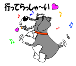 A lively Miniature Schnauzer sticker #14330676
