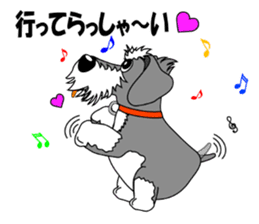 A lively Miniature Schnauzer sticker #14330676