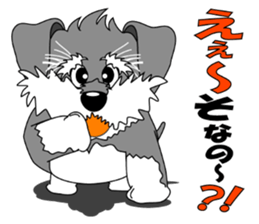 A lively Miniature Schnauzer sticker #14330679
