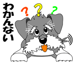 A lively Miniature Schnauzer sticker #14330680