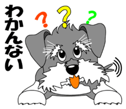 A lively Miniature Schnauzer sticker #14330680