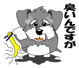 A lively Miniature Schnauzer sticker #14330682