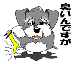 A lively Miniature Schnauzer sticker #14330682