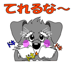 A lively Miniature Schnauzer sticker #14330684