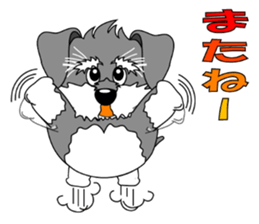 A lively Miniature Schnauzer sticker #14330685