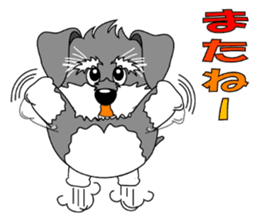 A lively Miniature Schnauzer sticker #14330685