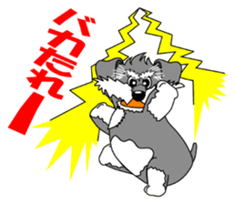 A lively Miniature Schnauzer sticker #14330687
