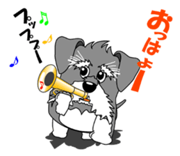 A lively Miniature Schnauzer sticker #14330689