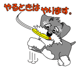 A lively Miniature Schnauzer sticker #14330693