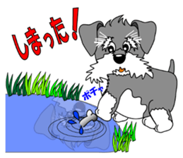 A lively Miniature Schnauzer sticker #14330694