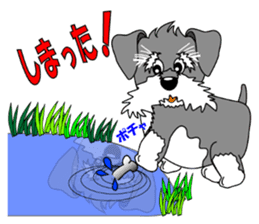 A lively Miniature Schnauzer sticker #14330694
