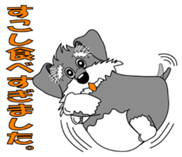 A lively Miniature Schnauzer sticker #14330695