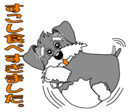 A lively Miniature Schnauzer sticker #14330695