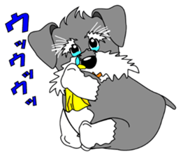 A lively Miniature Schnauzer sticker #14330696