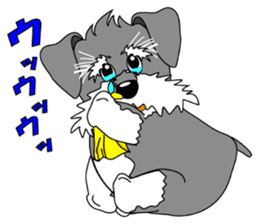 A lively Miniature Schnauzer sticker #14330696