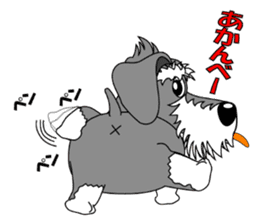 A lively Miniature Schnauzer sticker #14330697