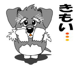 A lively Miniature Schnauzer sticker #14330698