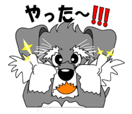 A lively Miniature Schnauzer sticker #14330701