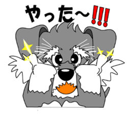 A lively Miniature Schnauzer sticker #14330701