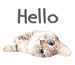Nala and White Coffee Cat (English) sticker #14331478