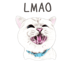 Nala and White Coffee Cat (English) sticker #14331480