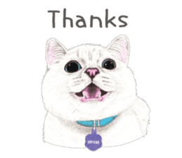Nala and White Coffee Cat (English) sticker #14331484