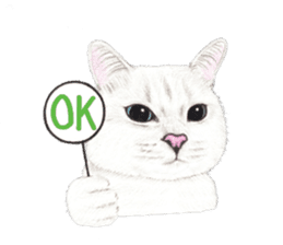 Nala and White Coffee Cat (English) sticker #14331486