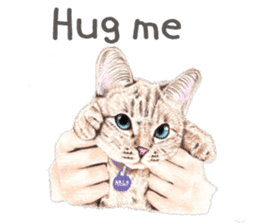 Nala and White Coffee Cat (English) sticker #14331492
